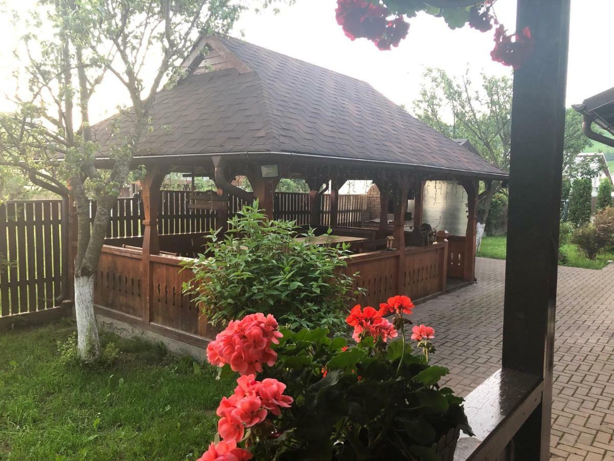 Pensiunea Galileo Borşa Екстериор снимка